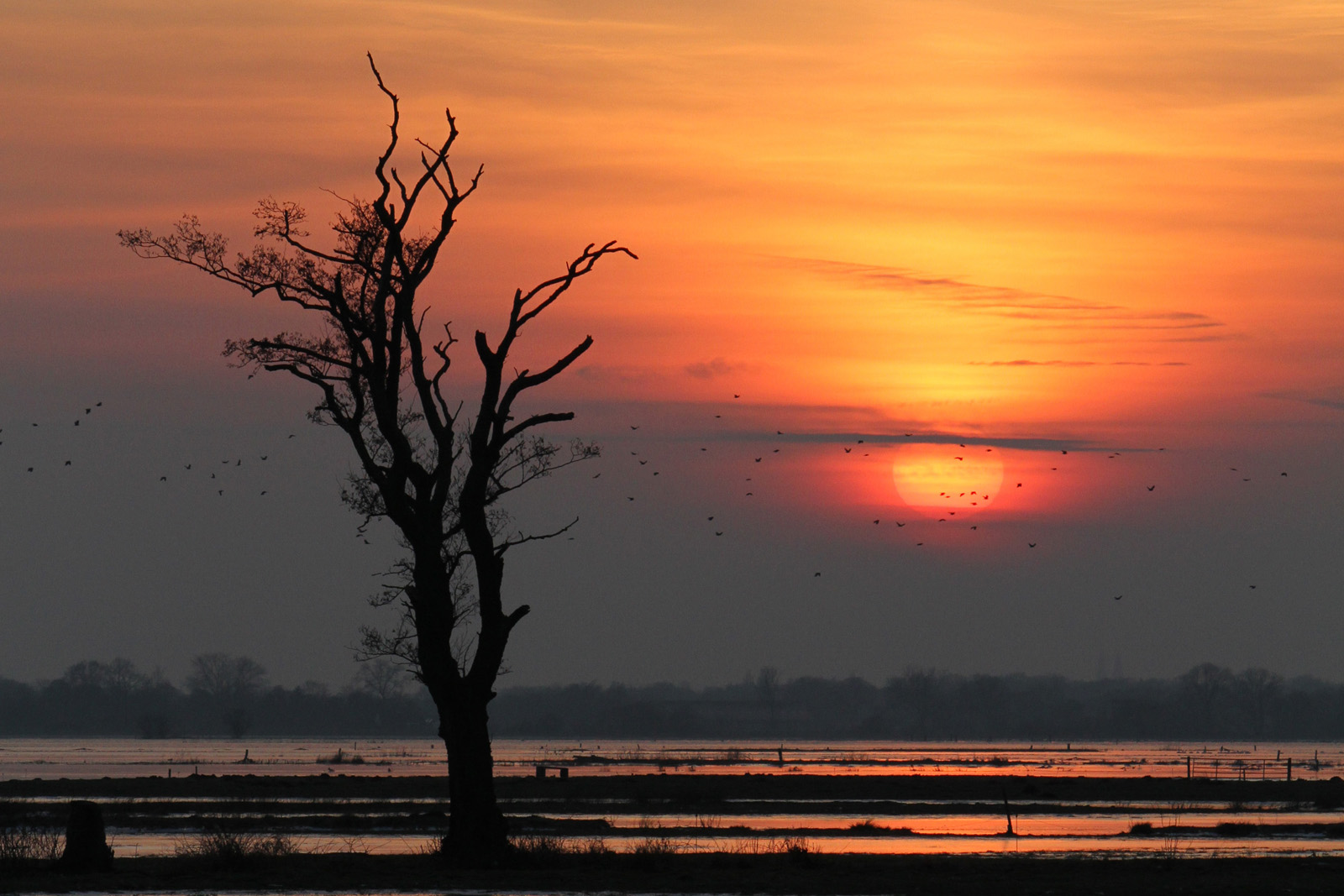 Wümmewiesen bei Sonnenuntergang