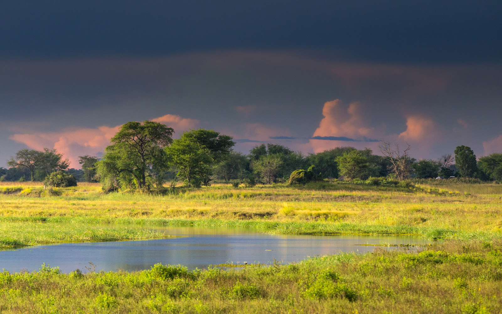 Abendstimmung am Chobe