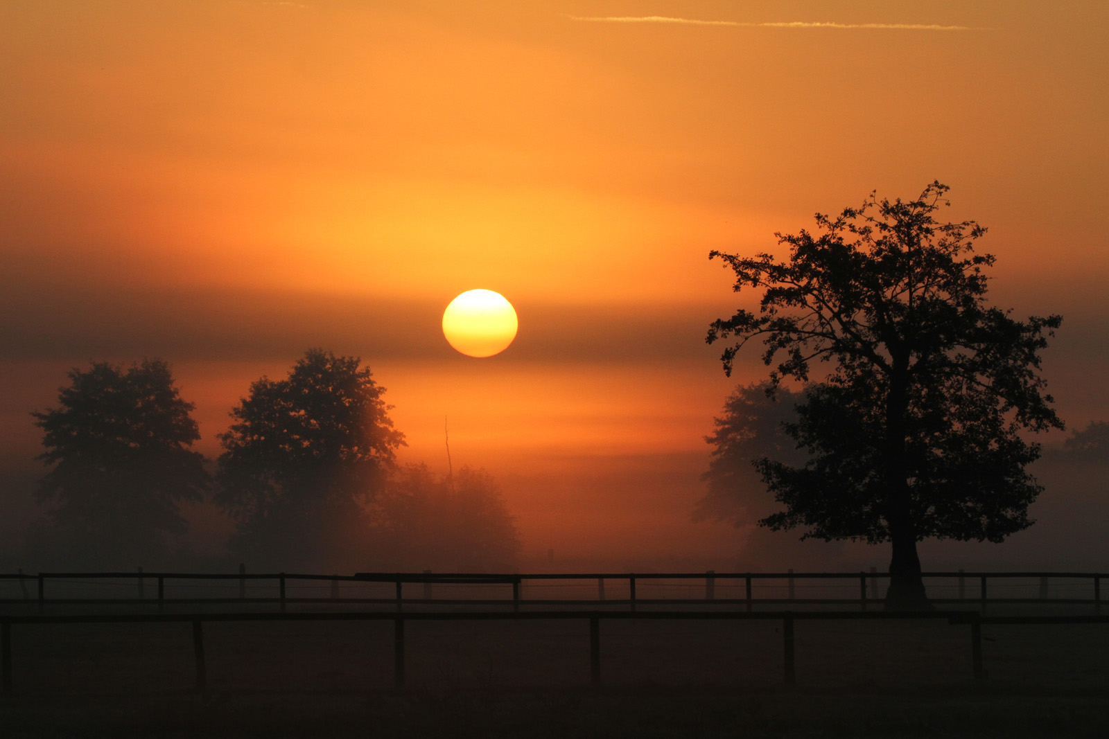 Morgenstimmung mit Nebel