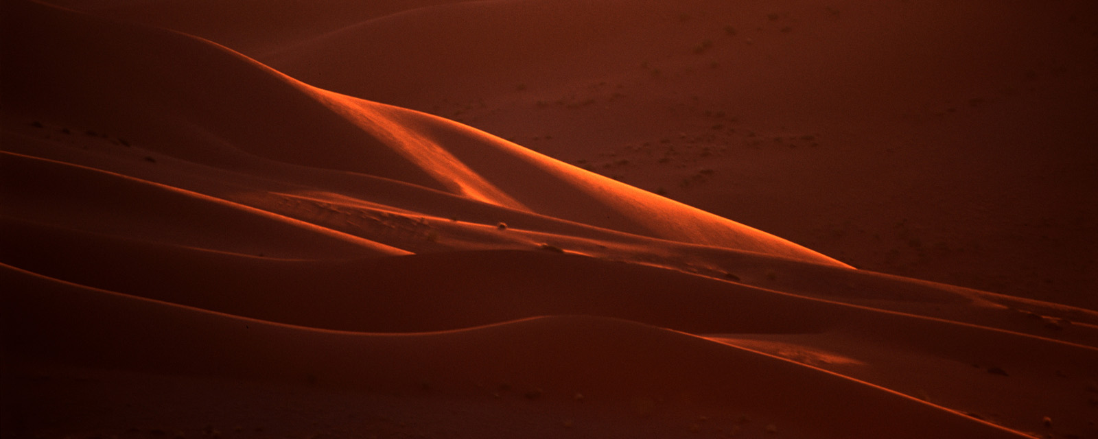 Dune Shadow I